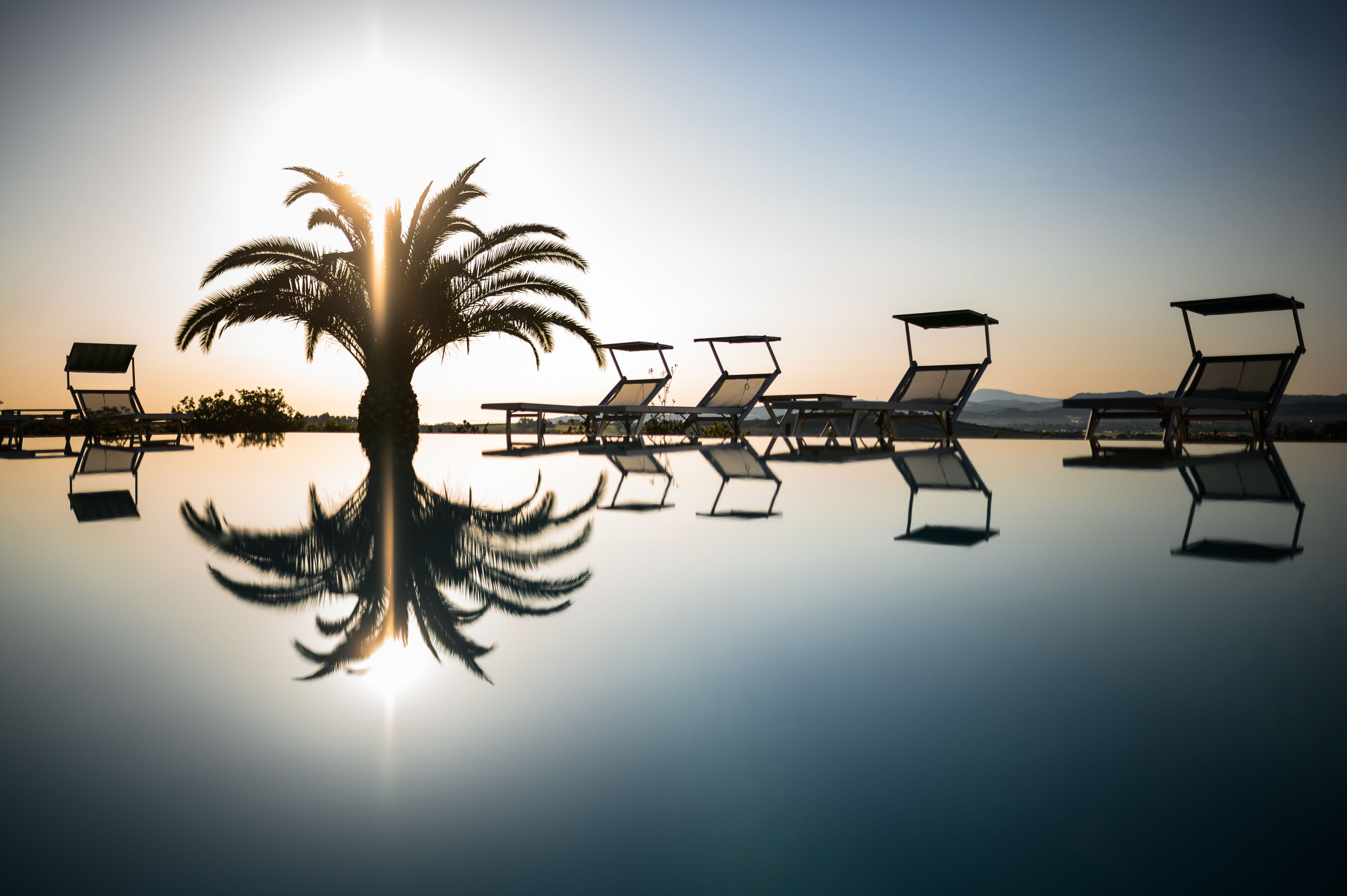 A serene beach scene with a palm tree and sunlit lounge chairs reflecting on the water.