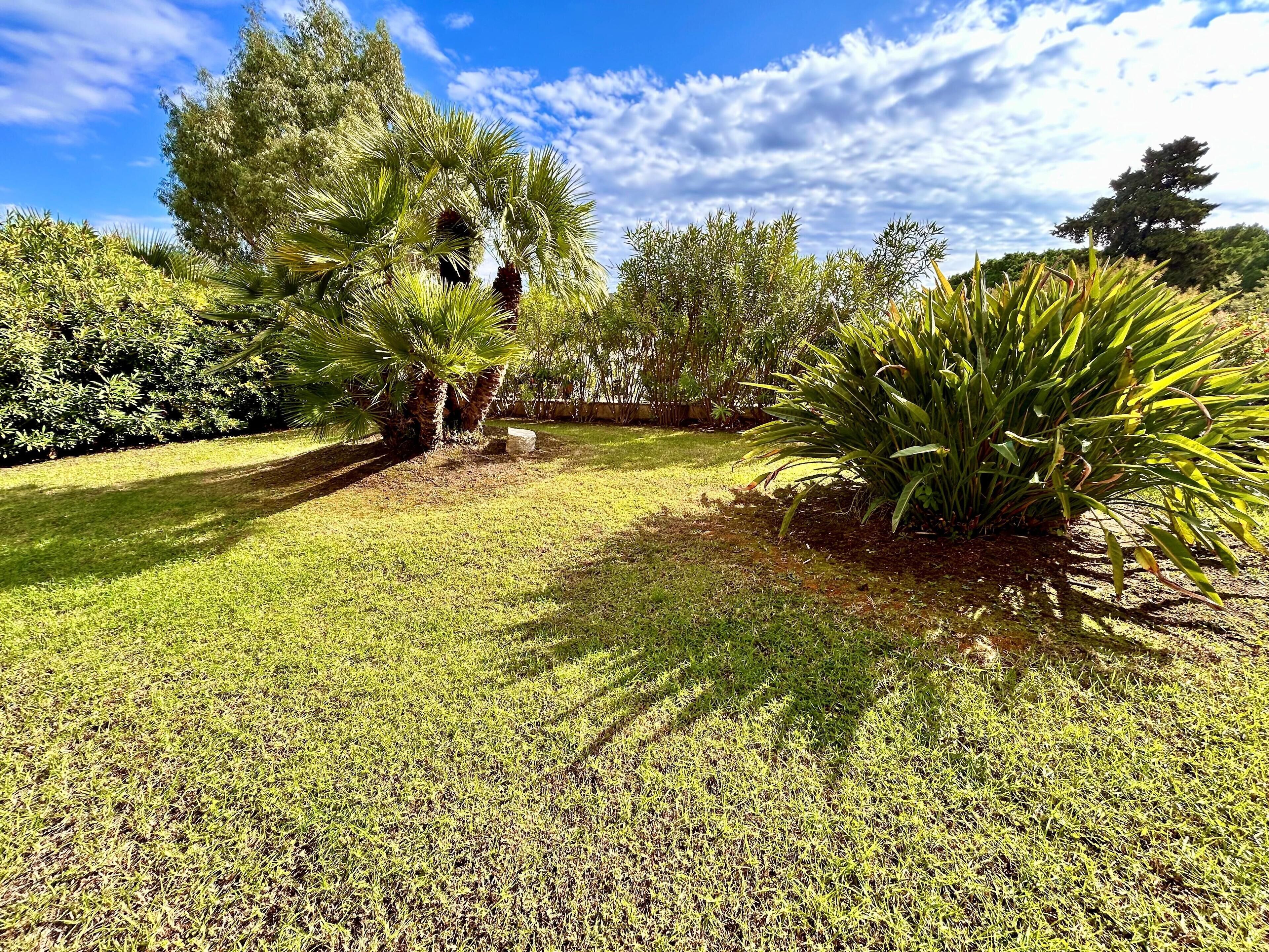 A well-maintained garden with various plants and a lawn.