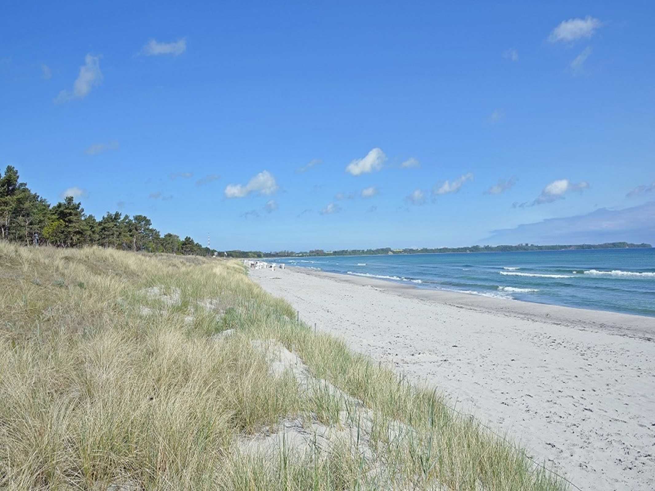 A beach with sand, grass, and a clear sky.
