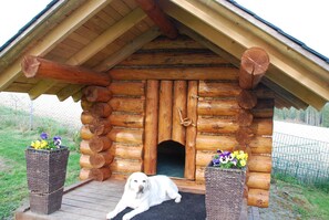 Property grounds - Hotel Alpenhof Das klingende Gasthaus (Markneukirchen)