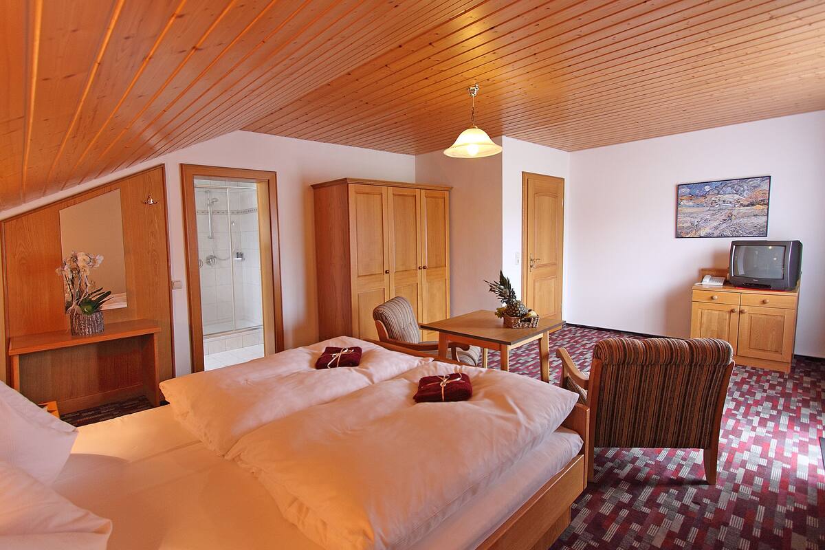 standard double or twin room, 1 bedroom | rollaway beds, free wifi