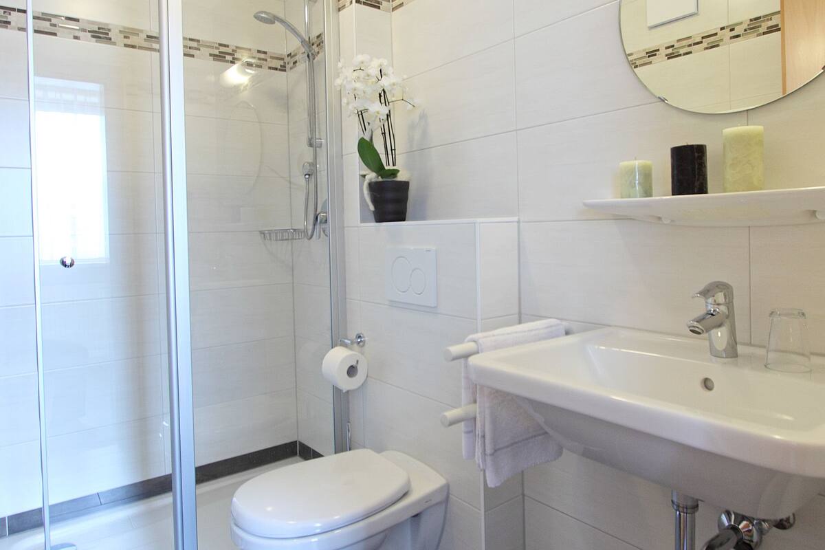 single room | bathroom | shower, hair dryer, towels