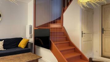 Télévision, cheminée, baby-foot, livres