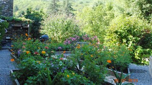 Un jardin agrémenté de diverses fleurs et plantes, un mur en pierre et une structure en bois.