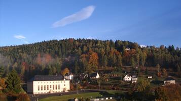 A large white building with a symmetrical facade, surrounded by smaller houses and a forested hill in the background.