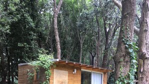 A small wooden cabin with a sliding glass door, surrounded by dense forest. - Les Milles et une Nuits (Sisco)