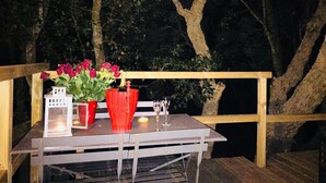 A wooden deck with a table set for two, featuring a vase of red flowers, a bottle of champagne, and a candle. - Les Milles et une Nuits (Sisco)
