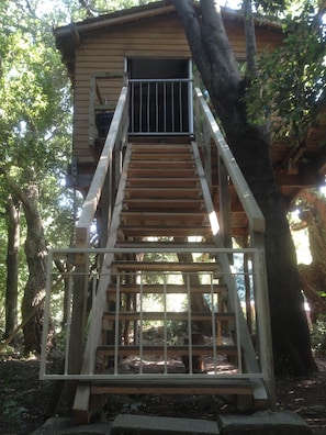 Casa en un árbol | Sistema de insonorización, tabla de planchar con plancha, wifi gratis