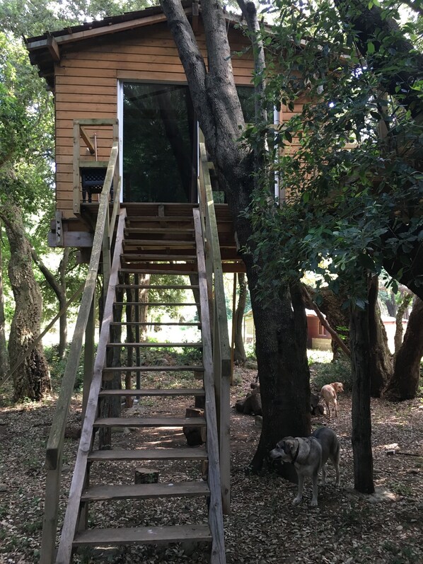 Soundproofing, iron/ironing board, free WiFi, bed sheets - Les Milles et une Nuits (Sisco)