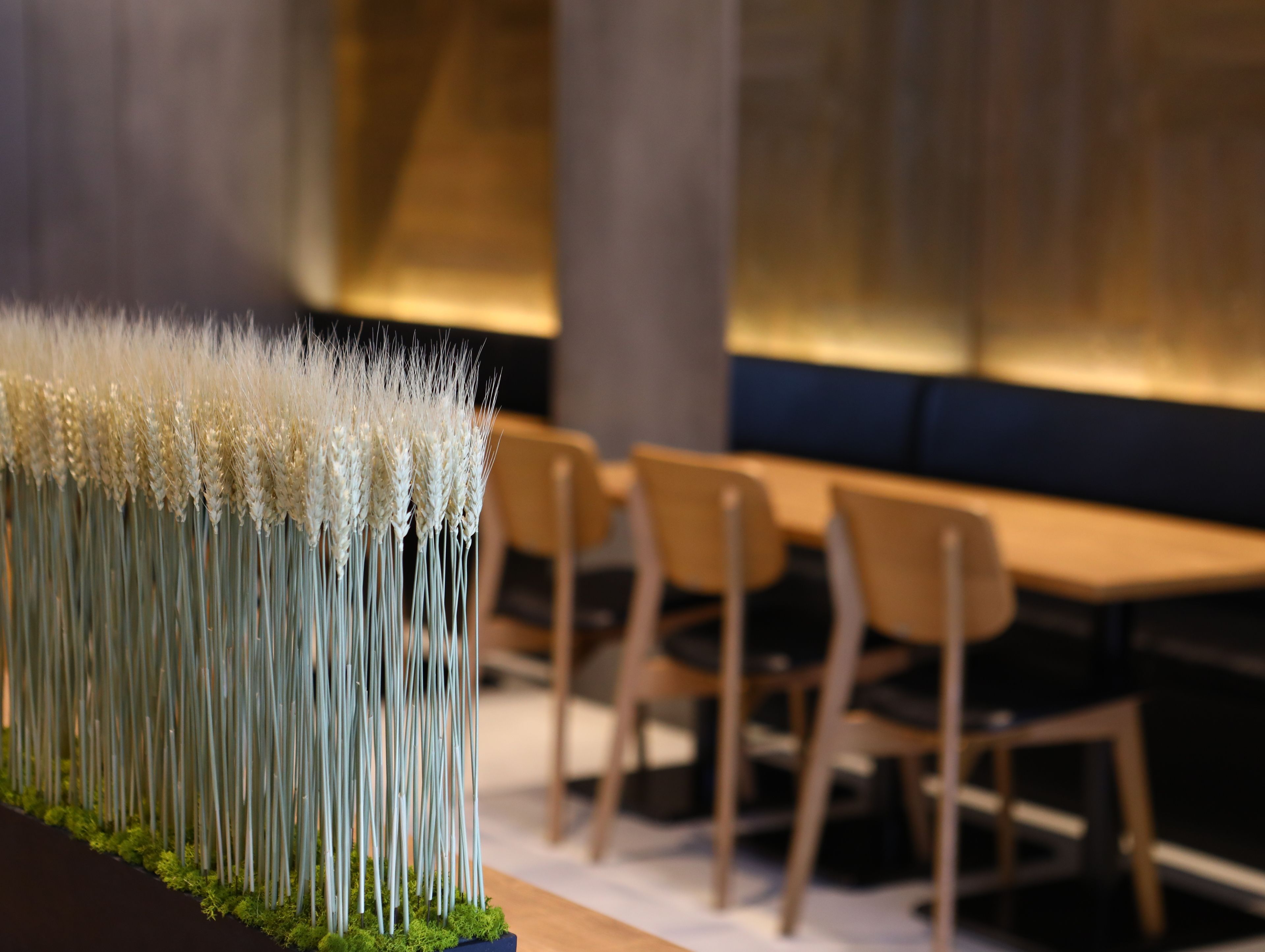 Foto - Karasuma Kyoto Hotel