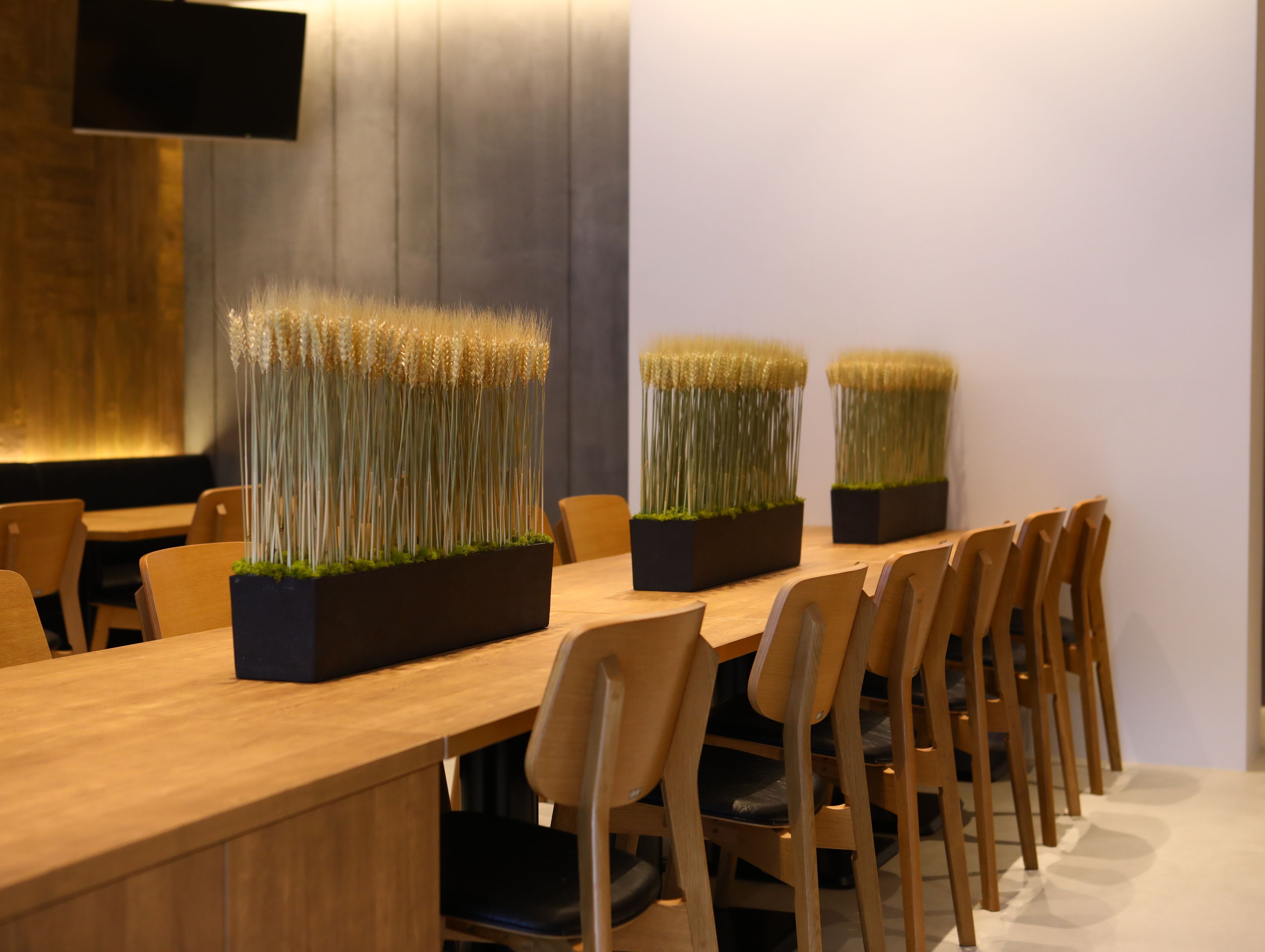 Foto - Karasuma Kyoto Hotel