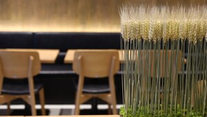 Una hilera de plantas altas y delgadas con flores blancas en una maceta, ubicada frente a un área de descanso con sillas de madera y un sofá de color oscuro.