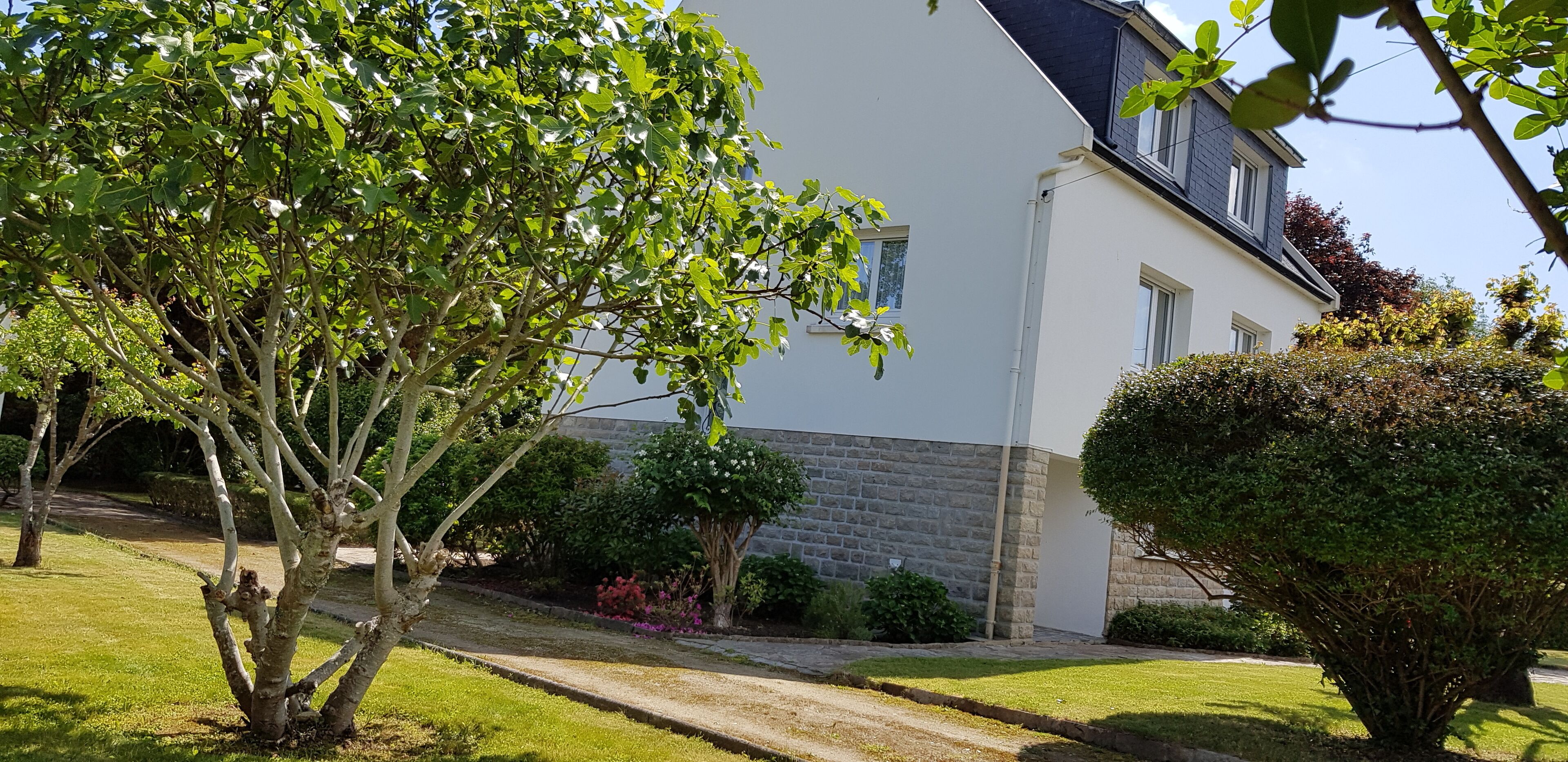 Une maison avec un mur en pierre, une pelouse et un arbre au premier plan.