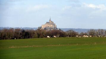 A large castle on a hill with a green field in the foreground.
