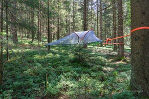 A tent set up in a forest with dense greenery and trees. - Haus am Waldesrand (Regen)