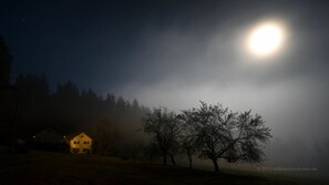 Front of property - evening/night - Haus am Waldesrand (Regen)