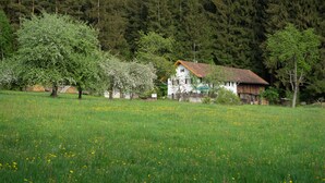 A rural house with a white exterior and a red roof, surrounded by a lush green field with yellow flowers. - Haus am Waldesrand (Regen)