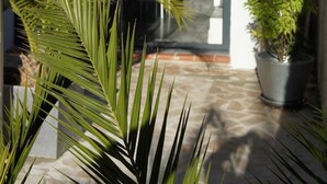 Un patio con techo de baldosas, puerta de cristal y plantas en macetas.