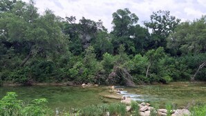 Un paisaje natural con un arroyo claro, rodeado de abundante vegetación y árboles.