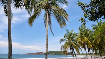 Sun-loungers, beach towels