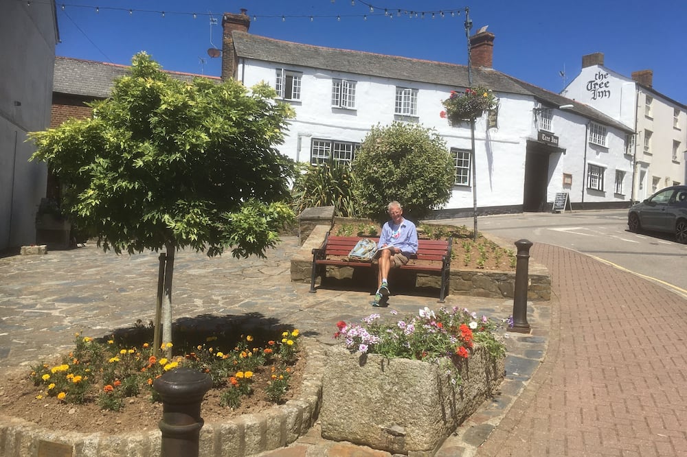 The Tree Inn - Tregole