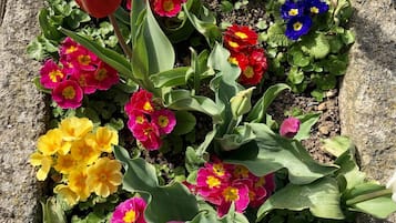 Una jardinera con diversas flores coloridas y follaje verde.