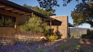 A modern house with a concrete exterior, a covered patio, and a garden with purple flowers. - Private Wine Country Estate with Panoramic Views, Tennis Court - TOT Cert 450N (Kenwood)