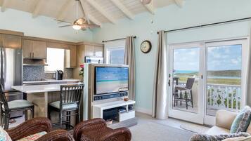 Smart TV, DVD player, books, video library