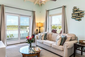 Smart TV, DVD player, books, video library