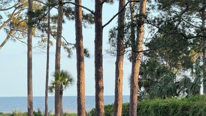 A landscaped garden with tall trees, a variety of shrubs, and a water feature. - BEST VALUE ON THE BEACH IN SEA PINES!
ALMOST OCEANFRONT! (Hilton Head Island)