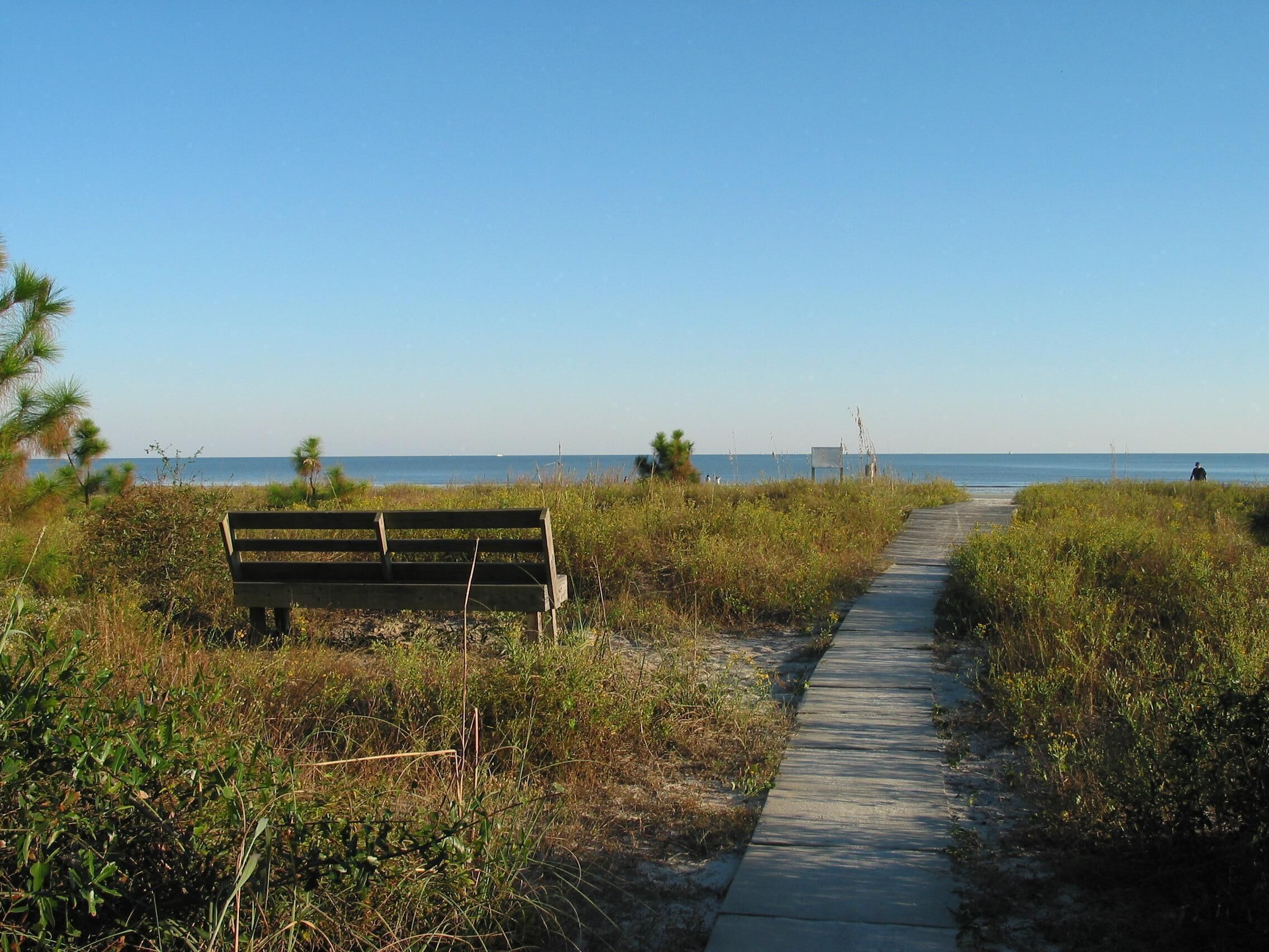 A bench on a concrete path leading to a beach, surrounded by grass and small trees.