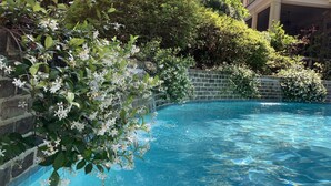 A swimming pool surrounded by lush greenery and a brick wall. - BEST VALUE ON THE BEACH IN SEA PINES!
ALMOST OCEANFRONT! (Hilton Head Island)