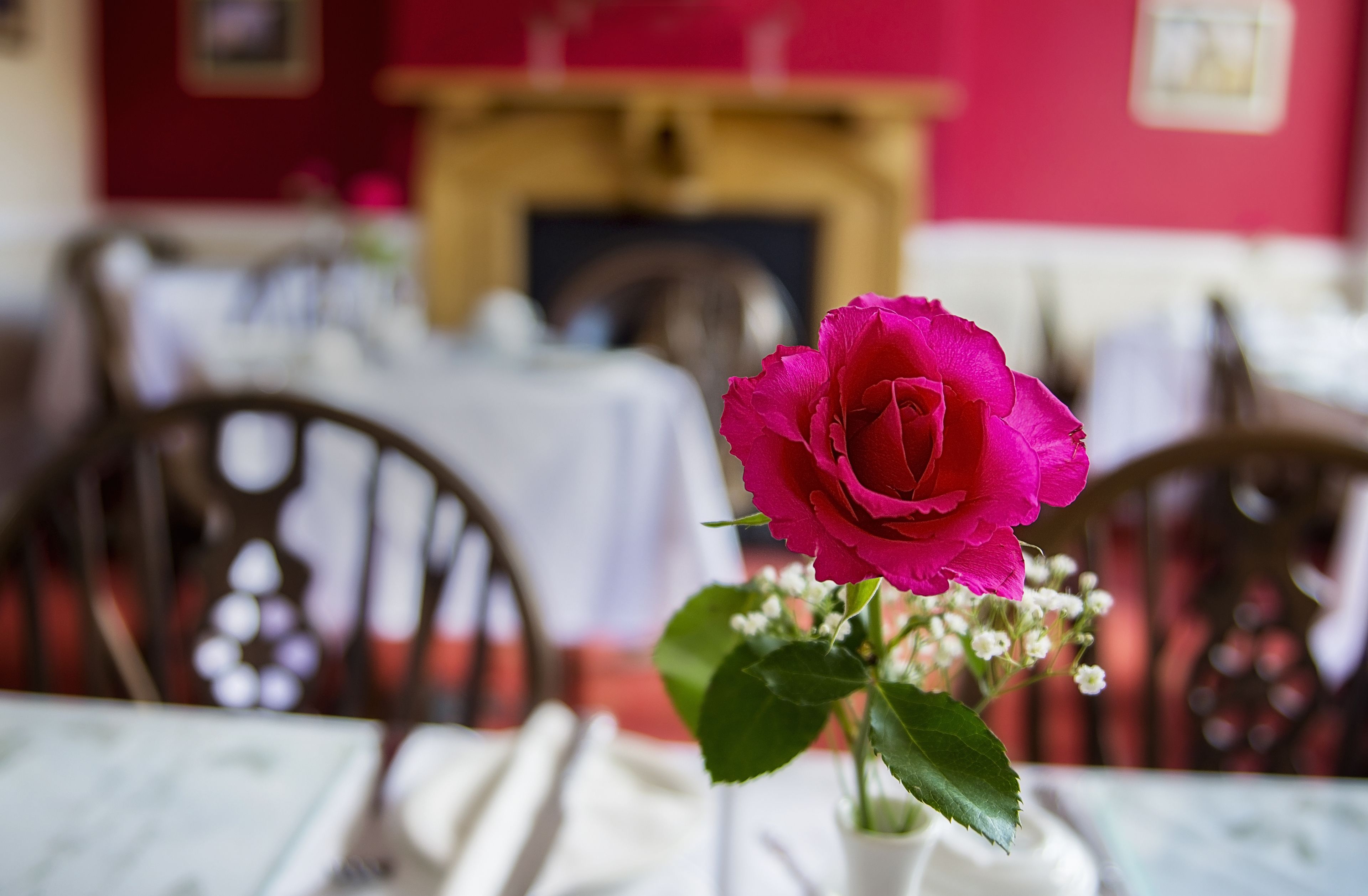 Foto - St. Raphael Guest House