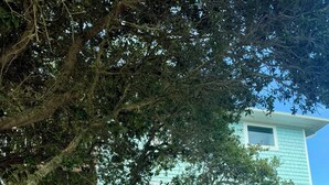 A two-story house with a balcony, a wooden staircase, and a concrete driveway. - Sunset Dream - sunset view, short walk to beach (Surf City)