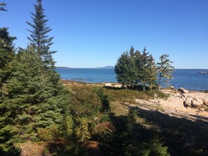 A coastal landscape with dense greenery and a clear view of the sea. - Charming Cottage in Maine (Surry)