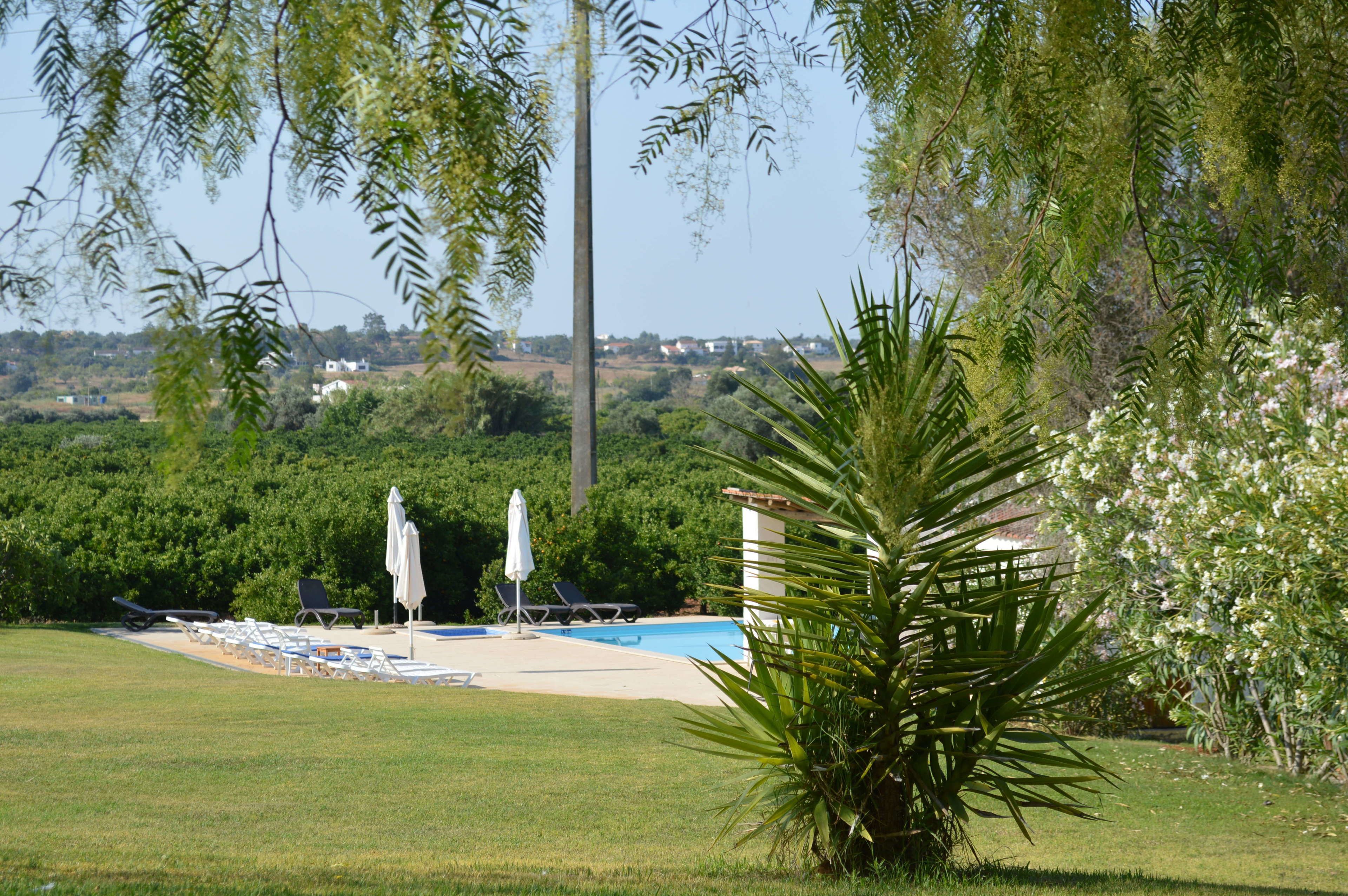 A pool area with lounge chairs and umbrellas, surrounded by greenery and a view of distant buildings.