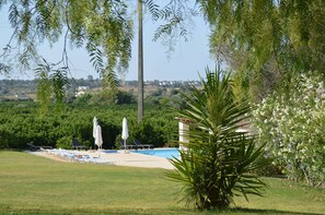 Exterior - Quinta da Mesquita (Silves)