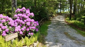 Een grindpad omzoomd door weelderige begroeiing en paarse rhododendrons.
