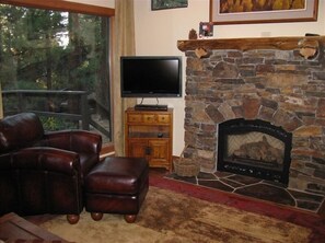 Televisión, chimenea, reproductor de DVD y videoteca