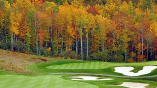 A golf course with sand bunkers and a forest in the background.