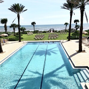 Une piscine à l’eau d’un bleu cristallin, entourée de palmiers et de chaises longues, avec une vue sur l’océan en arrière-plan.