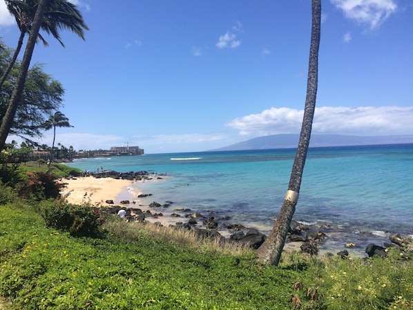Plage, chaises longues, serviettes de plage