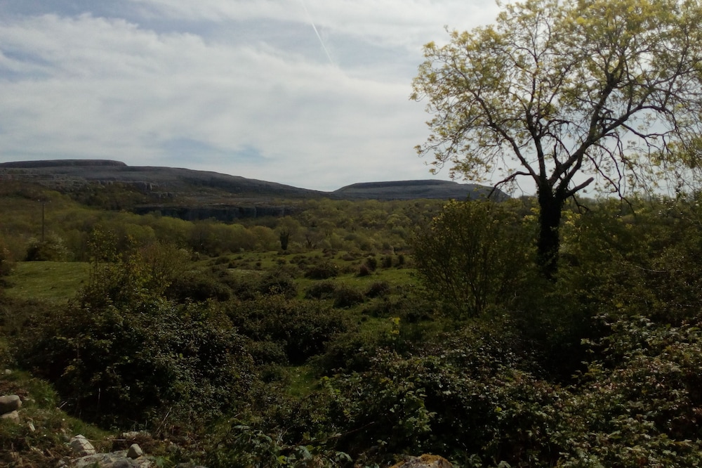 Burren Bushcraft - Camping & Adventures