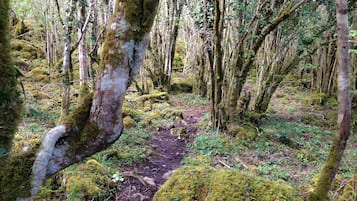 Hiking