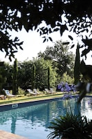 A swimming pool with lounge chairs and tall trees in the background.