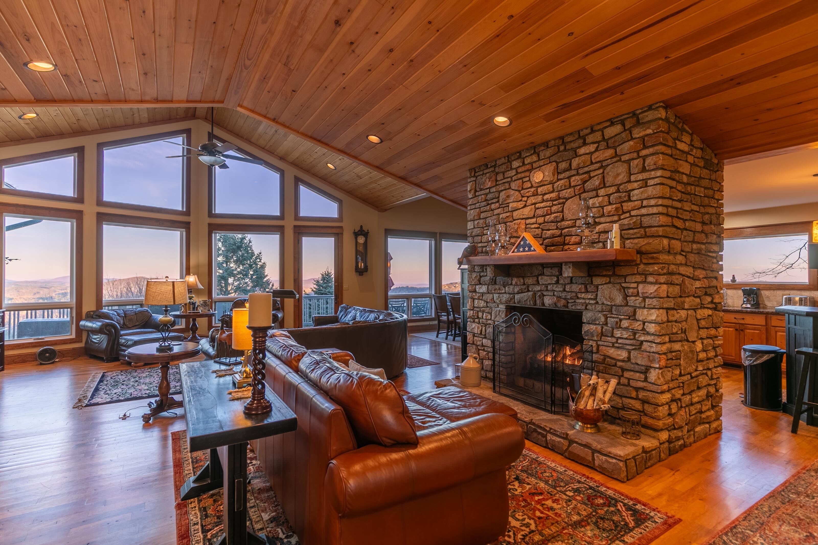 TV, caminetto, lettore DVD, libri