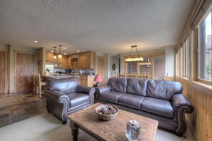 Smart TV, fireplace, DVD player, books
