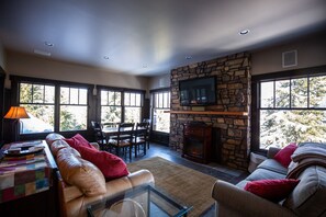 Televisie, een open haard en een dvd-speler