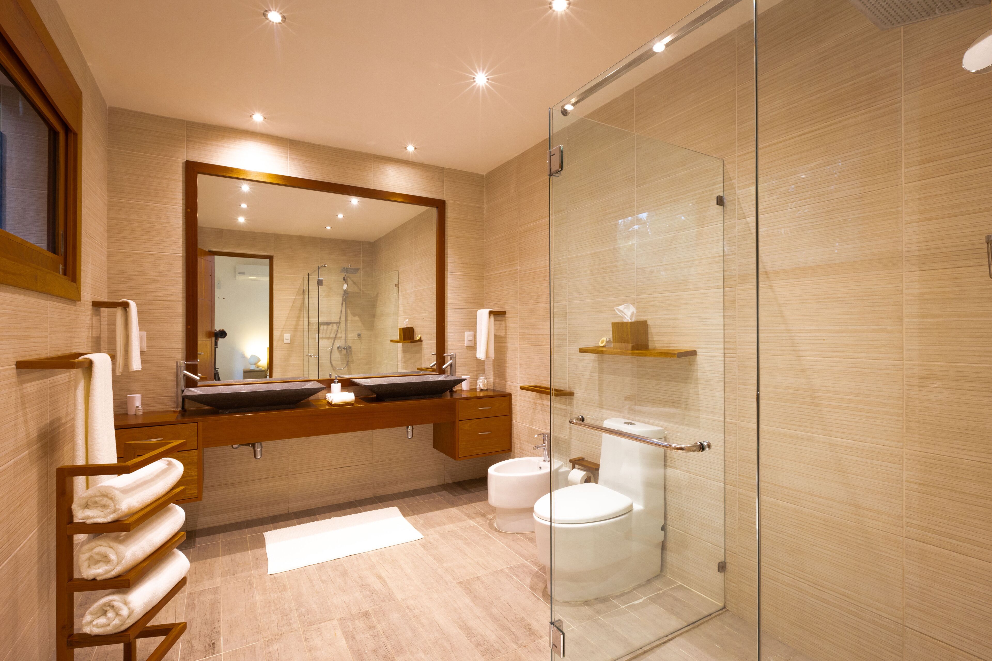 Shower, hair dryer, bidet, towels