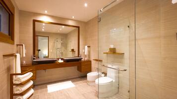 Shower, hair dryer, bidet, towels